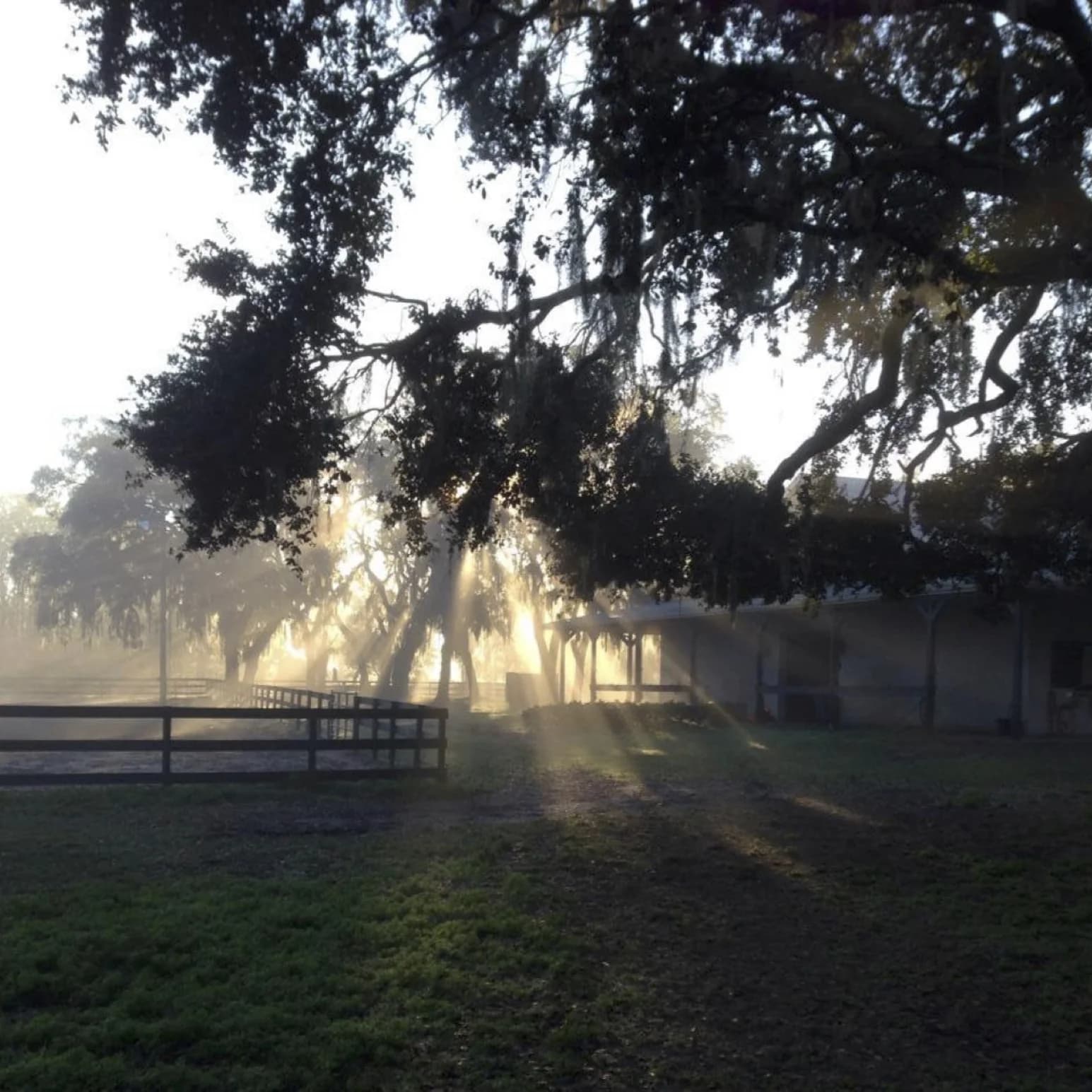 Annwyn Equestrian Center