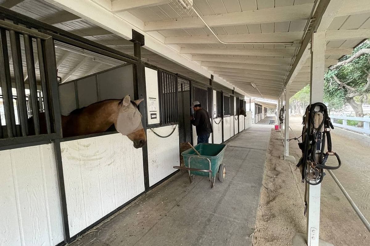 Bell Canyon Equestrian Center