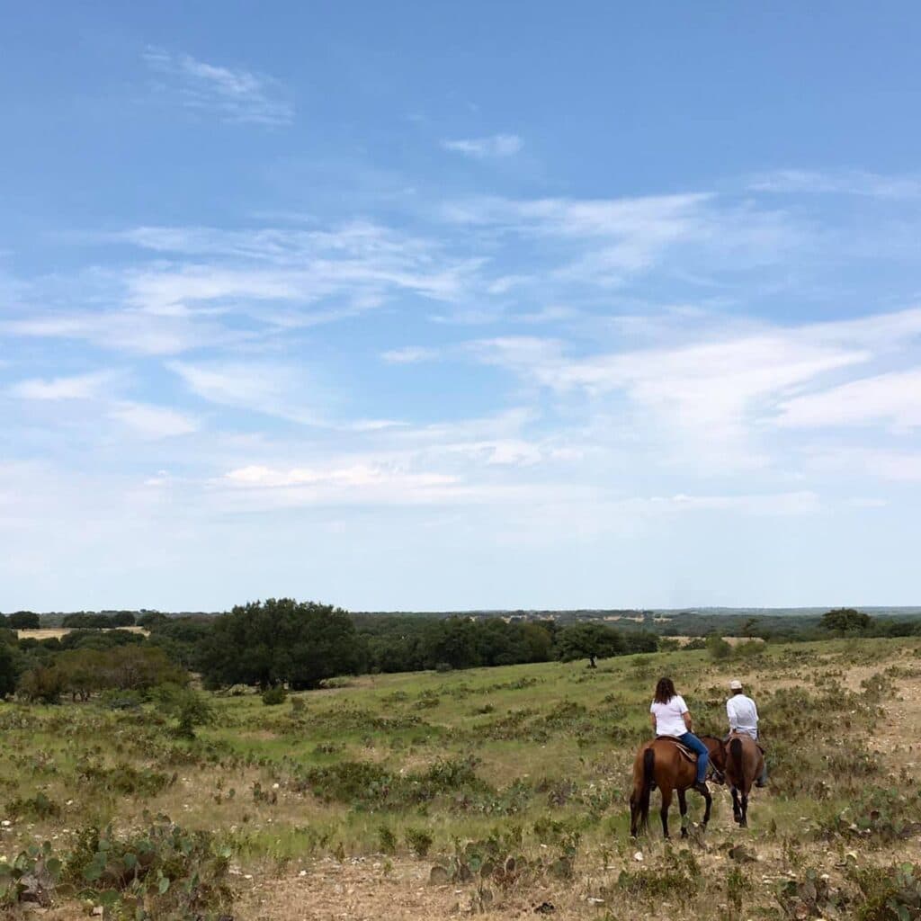 Bit and Bridle Stables