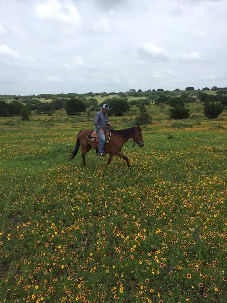 Bit & Bridle Stables