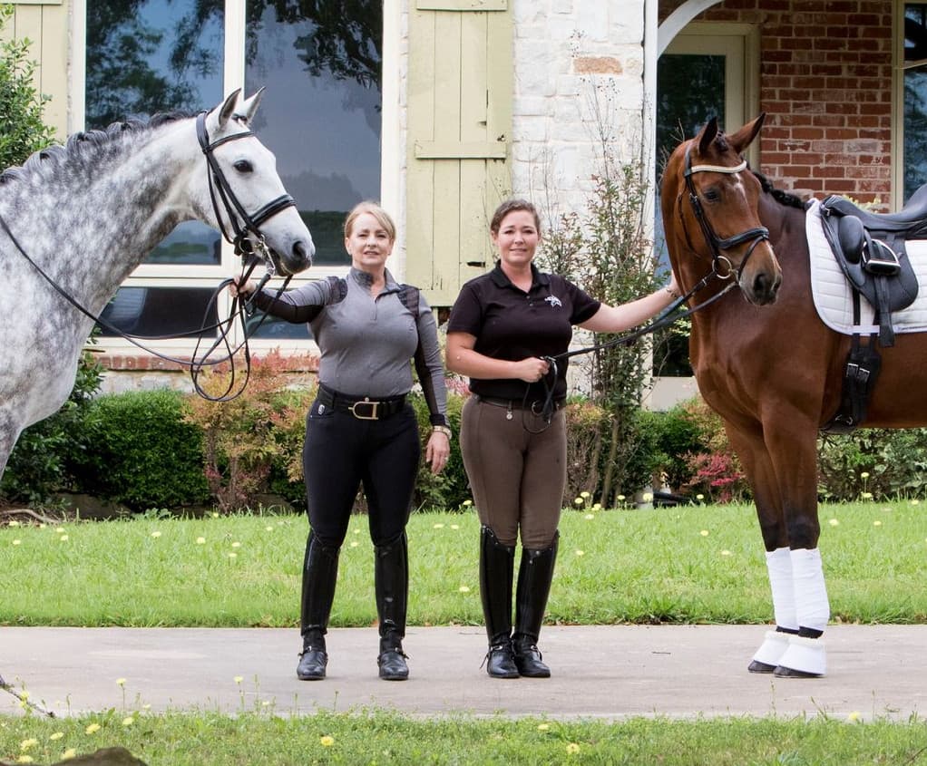 Black Star Sport Horses