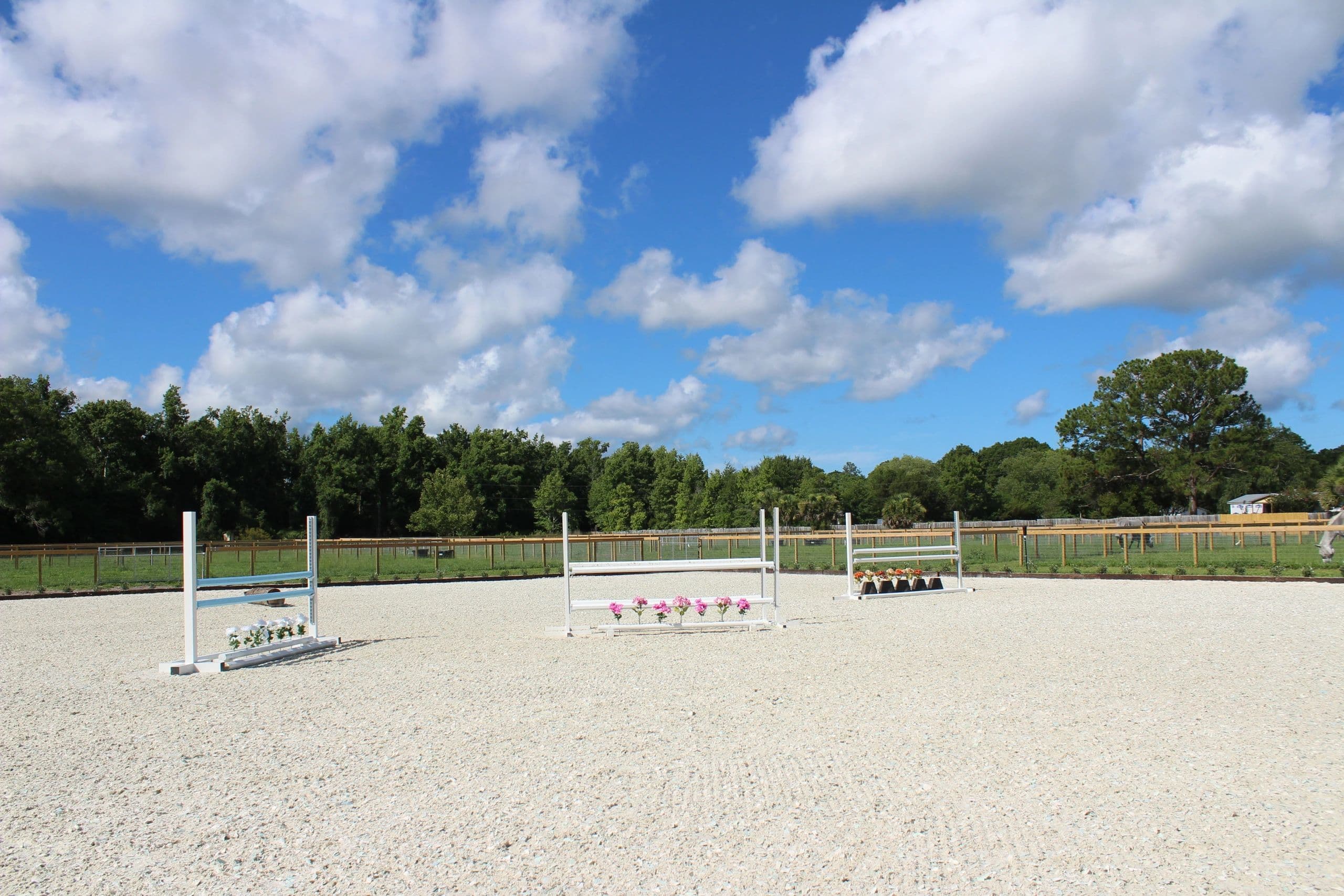 BV Equestrian Show Stables