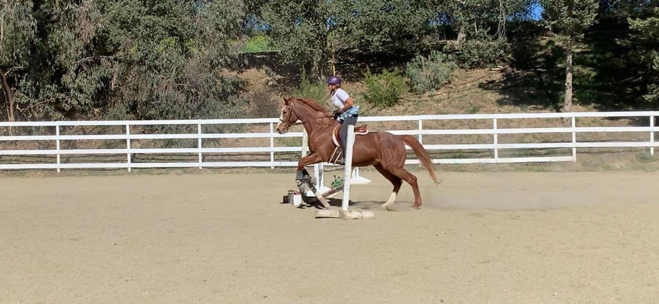 Canty Rune Training Stables