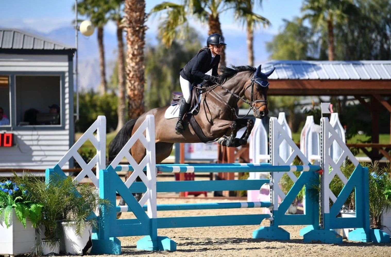 Cross Creek Farm Malibu