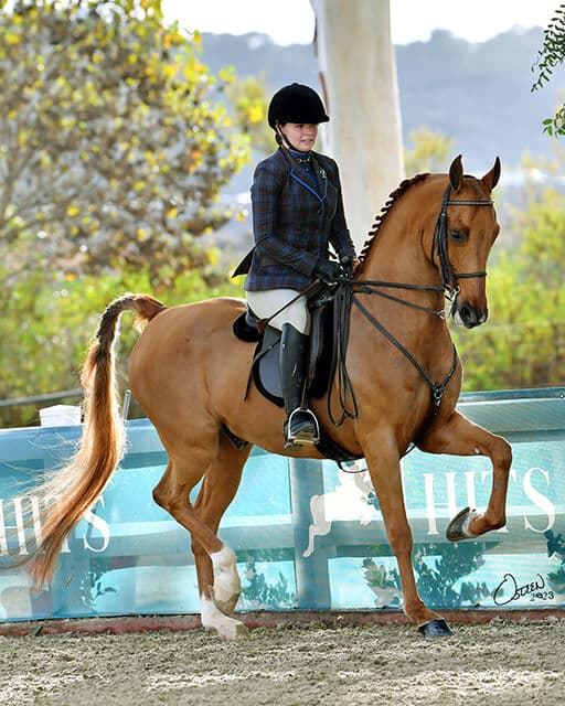 Desert Palms Equestrian Center