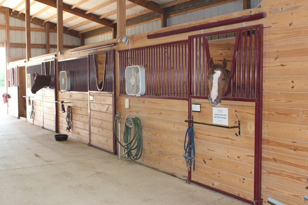 Duzan Riding Academy