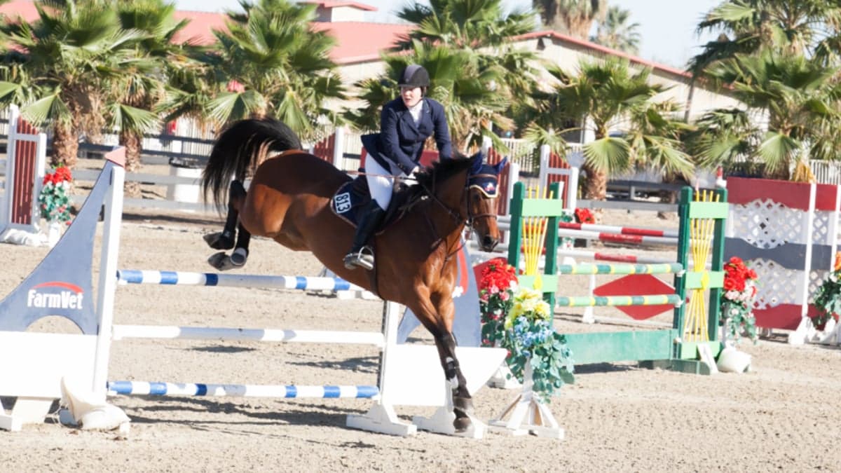 Fieldstone Riding Club