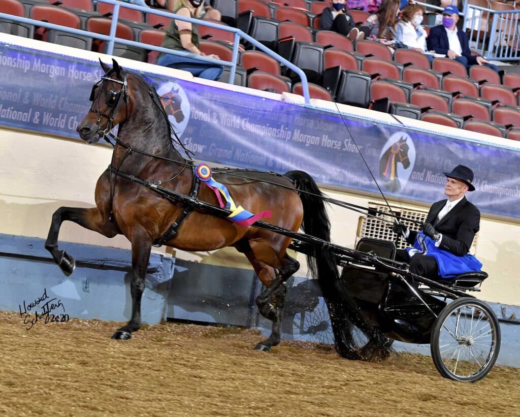 Gerry Rushton Stable