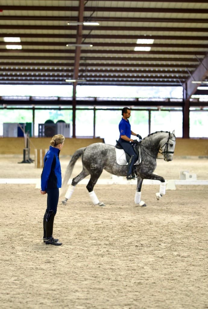 Haras dos Cavaleiros