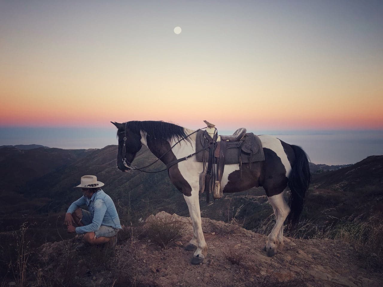 High Horse Malibu