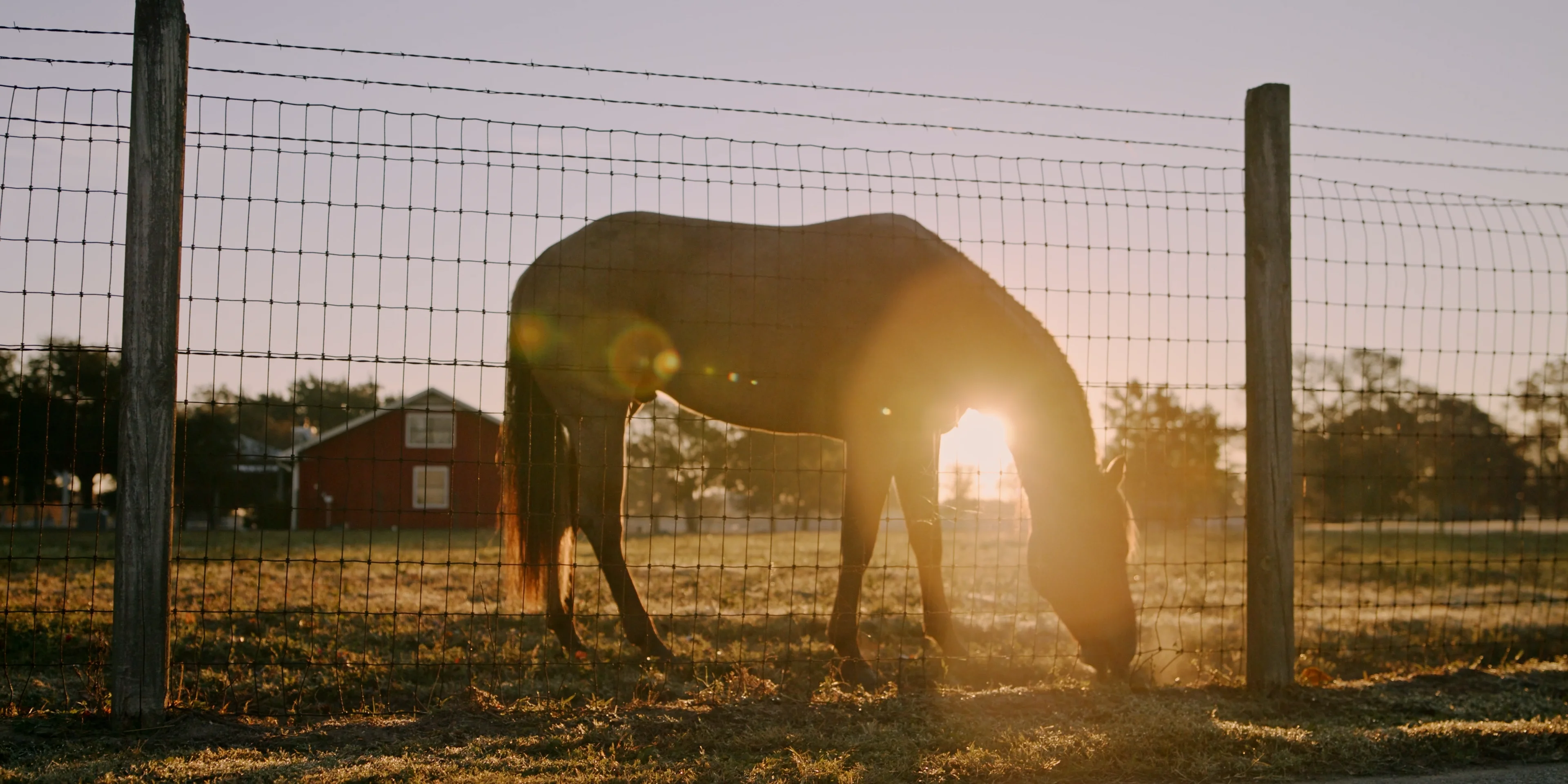 Houston Oaks Equestrian Club