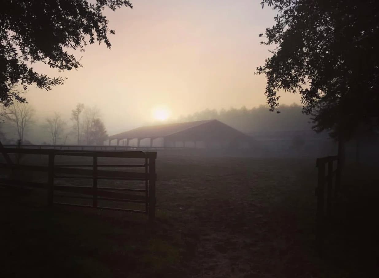 La Rose Performance Horses