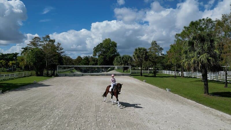 Laura Ashley Dressage