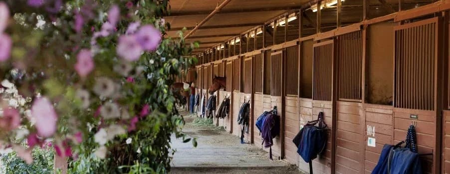 Los Angeles Equestrian Center