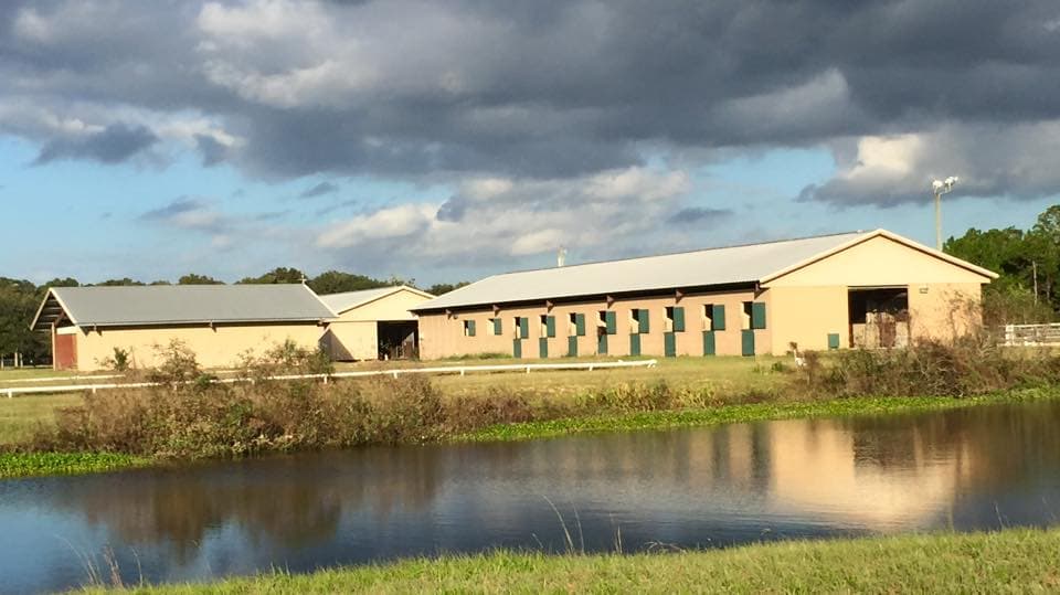 M & M Hunter Jumpers