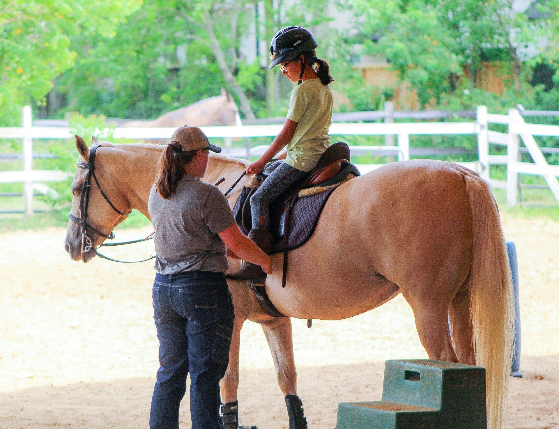 Magic Moments Stable