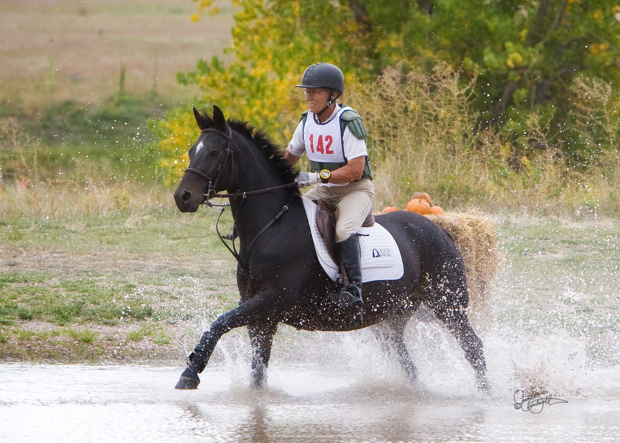Mile High Horse Ranch