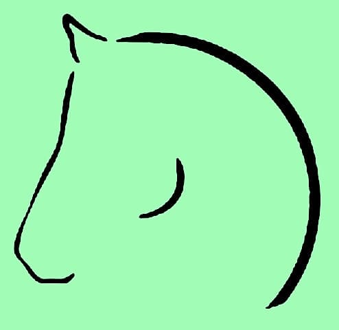 Mint Equine