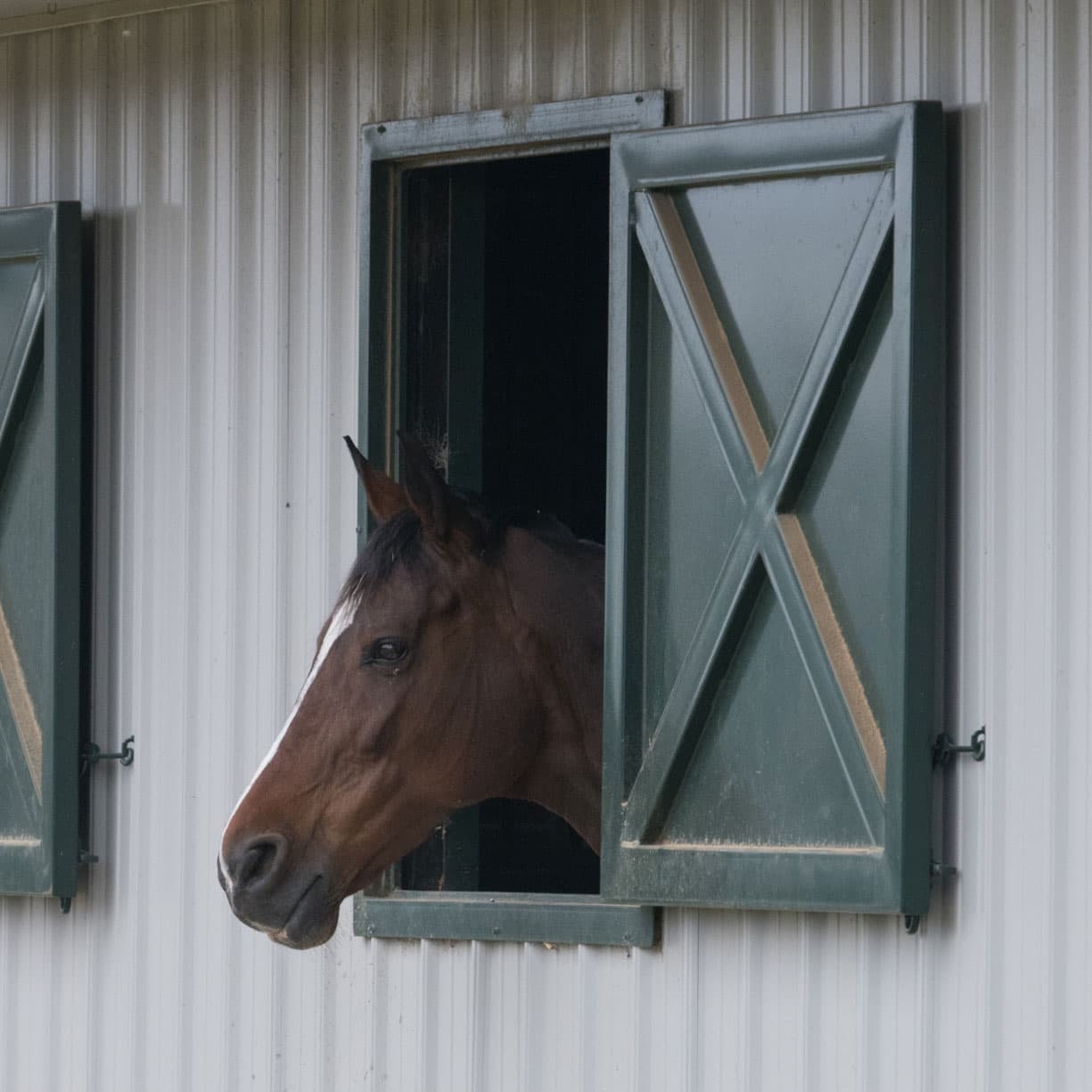 The Stables at New Bridge Polo