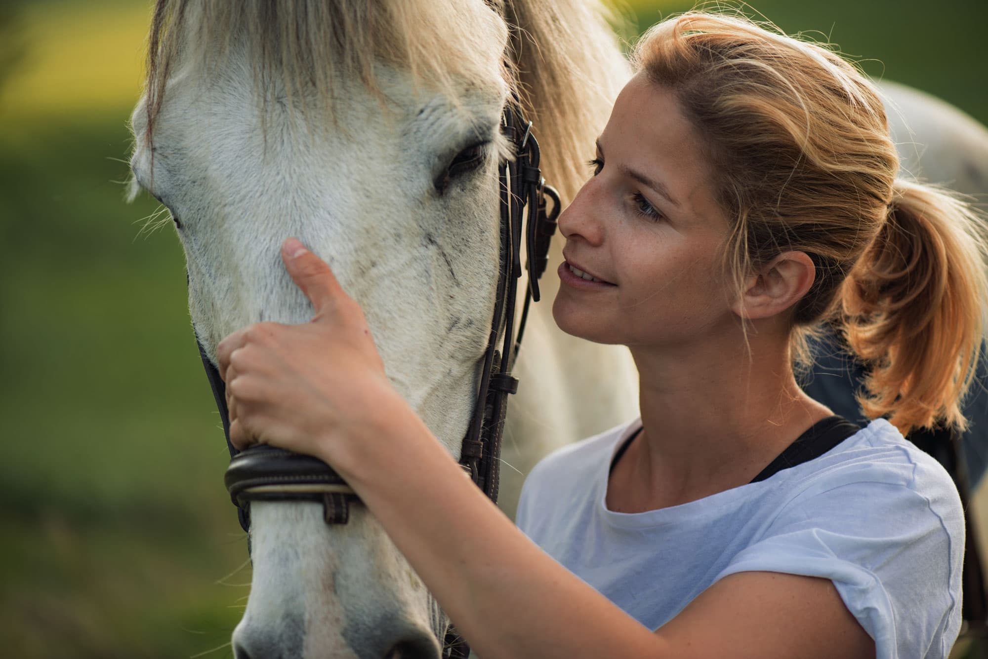 North Jersey Equestrian Center