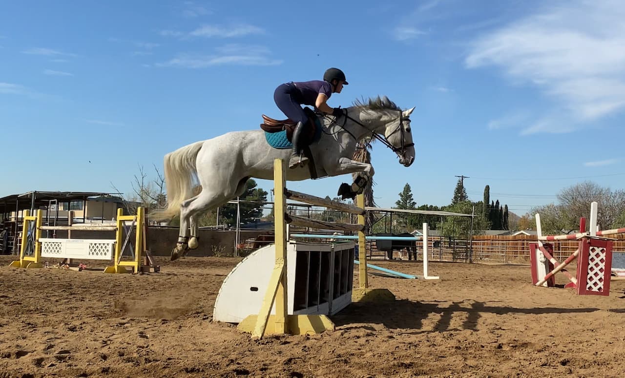 Norco Equestrian Academy