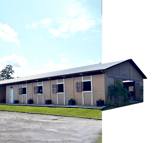 Raven Ridge Farm