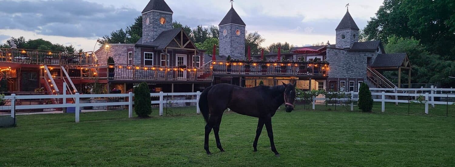 SaddleCreek Stables & Vineyard