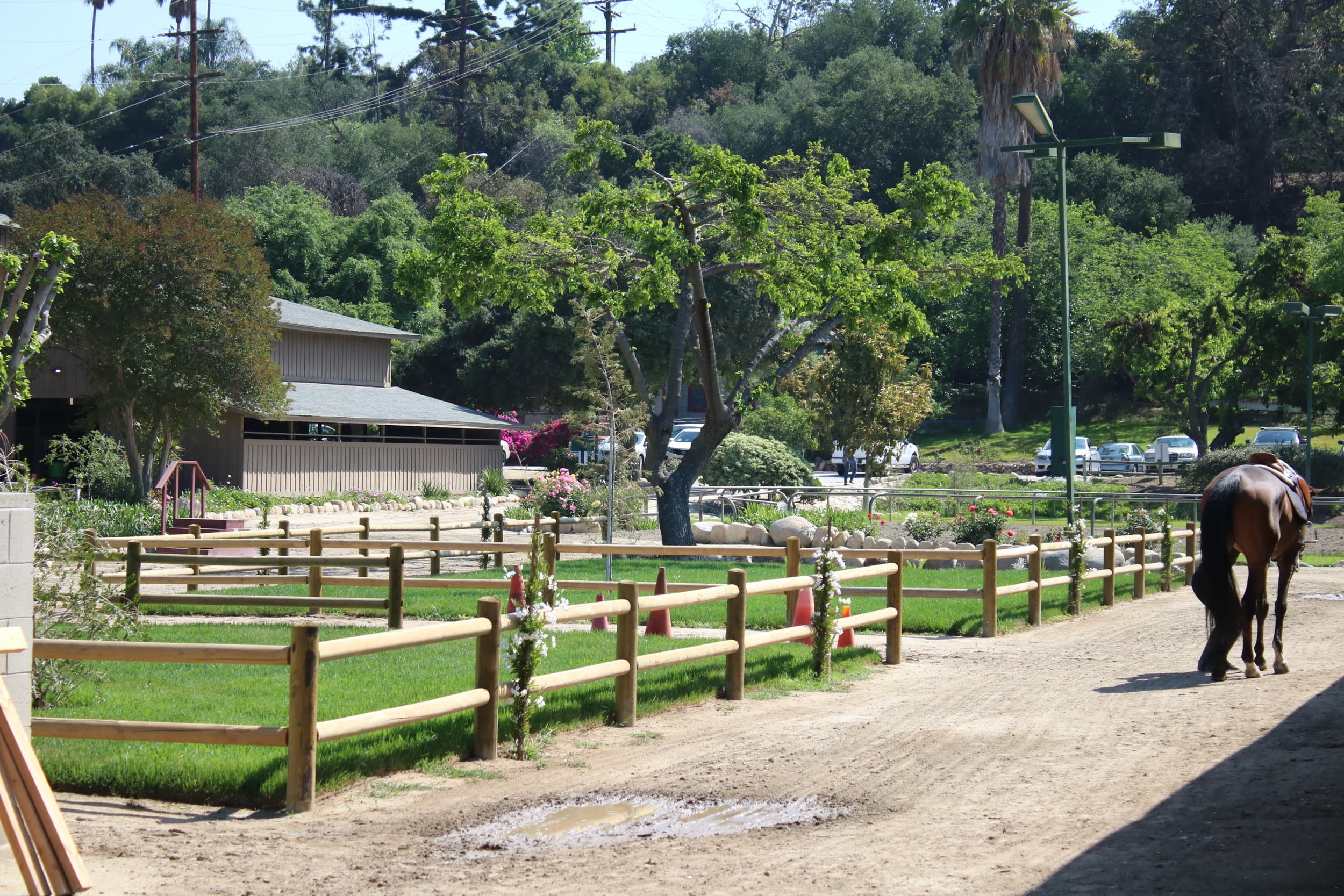 San Pascual Stables