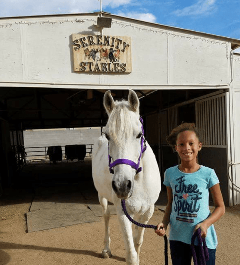Serenity Stables