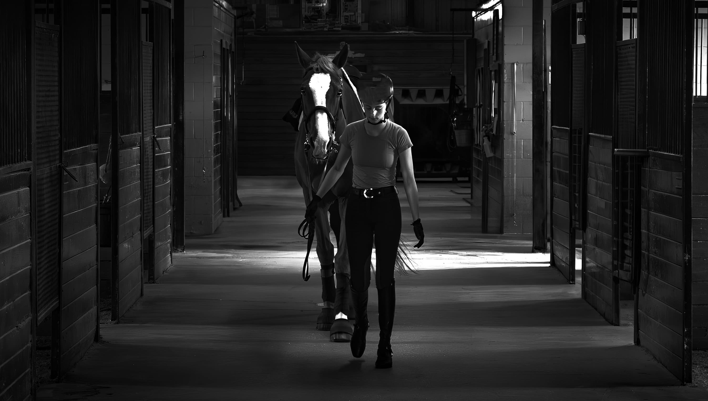 Southlake Equestrian