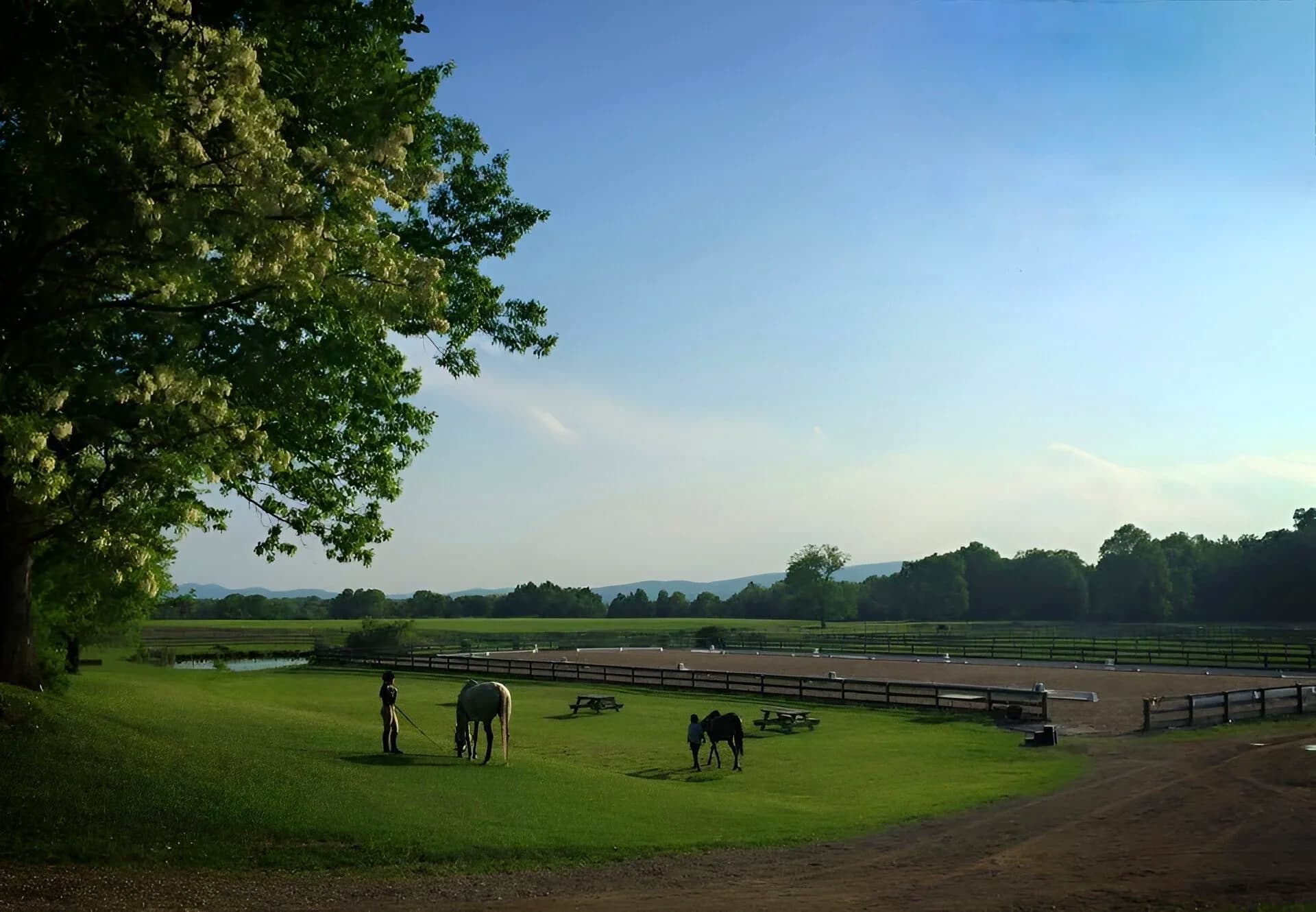 The Southlands Foundation