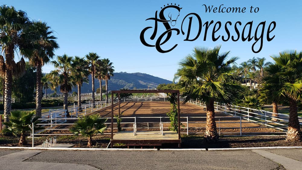 STC Dressage