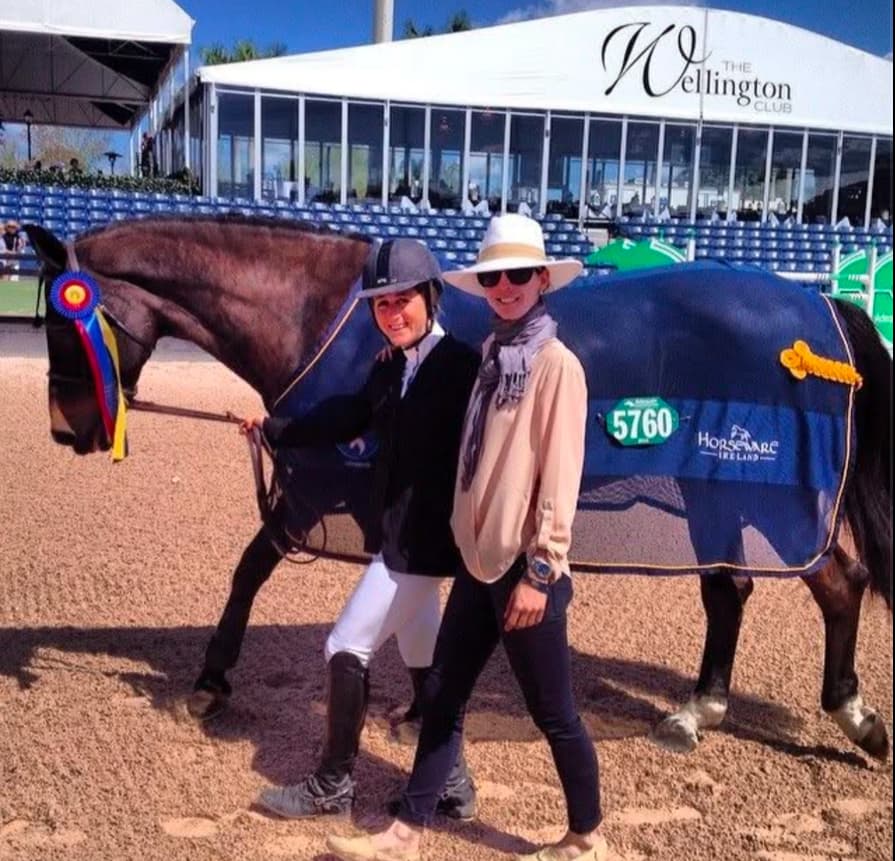 Steffee Showjumping