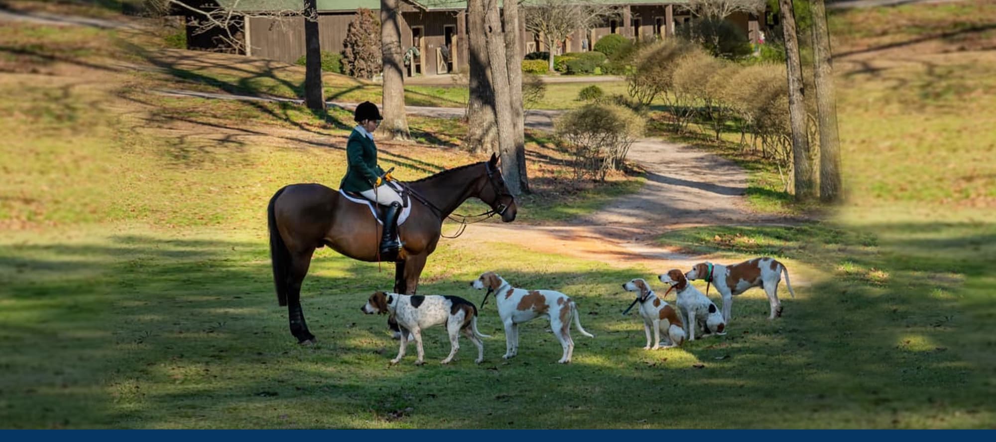 The Stable On The Woods