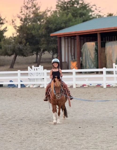 The Riding Academy at Wagner Family Equestrian Center