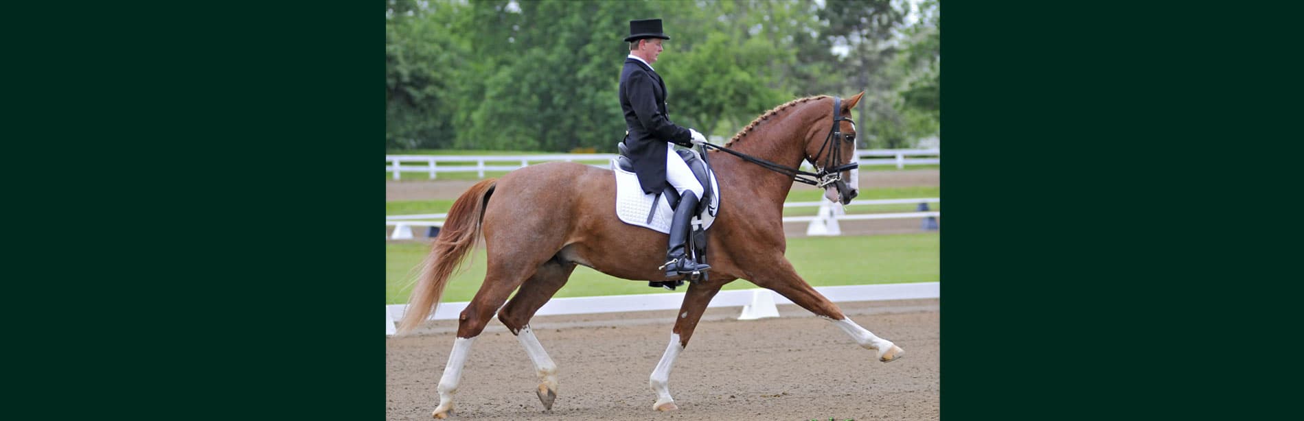 North Texas Equestrian Center