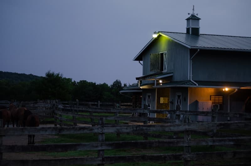 Barn with horses grazing